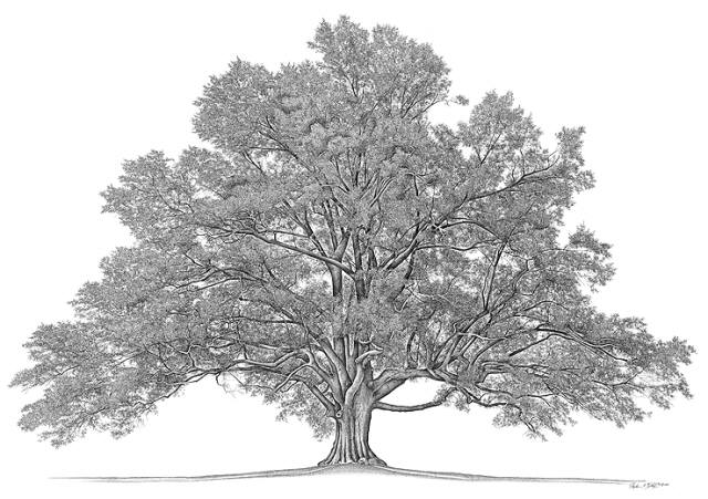 [family-tree_640.jpg]