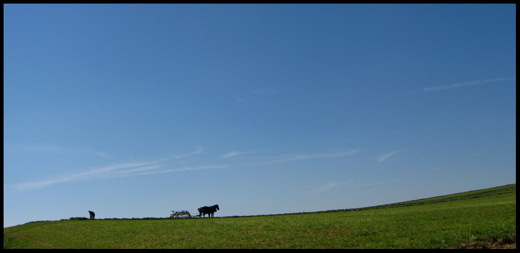 [Amish-plow.jpg]