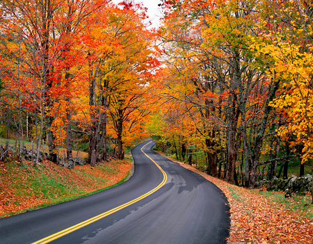 [Autumn-Road-large.jpg]