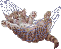 [cat_in_hammock.gif]