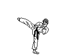 [karate-1.gif]