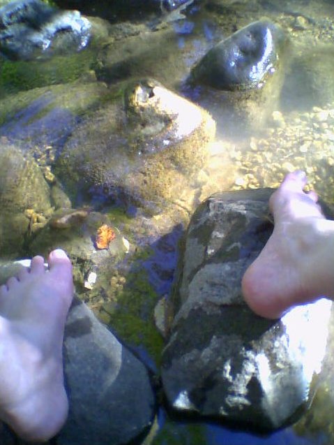 [my+feet+in+the+creek.jpg]