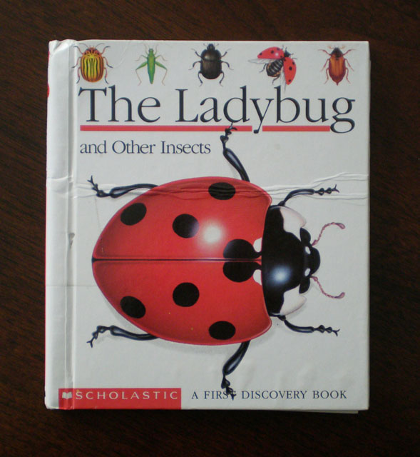 [LadybugBook.jpg]
