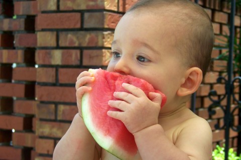 [Z+eating+watermelon.jpeg]