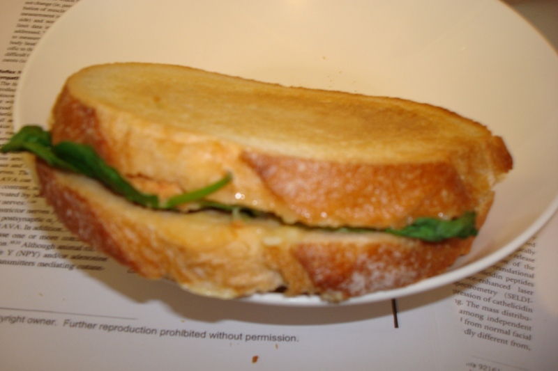 [tuna+sandwich+lunch.JPG]