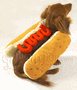 [hot+dog.gif]