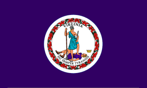 [Virginia_state_flag.png]