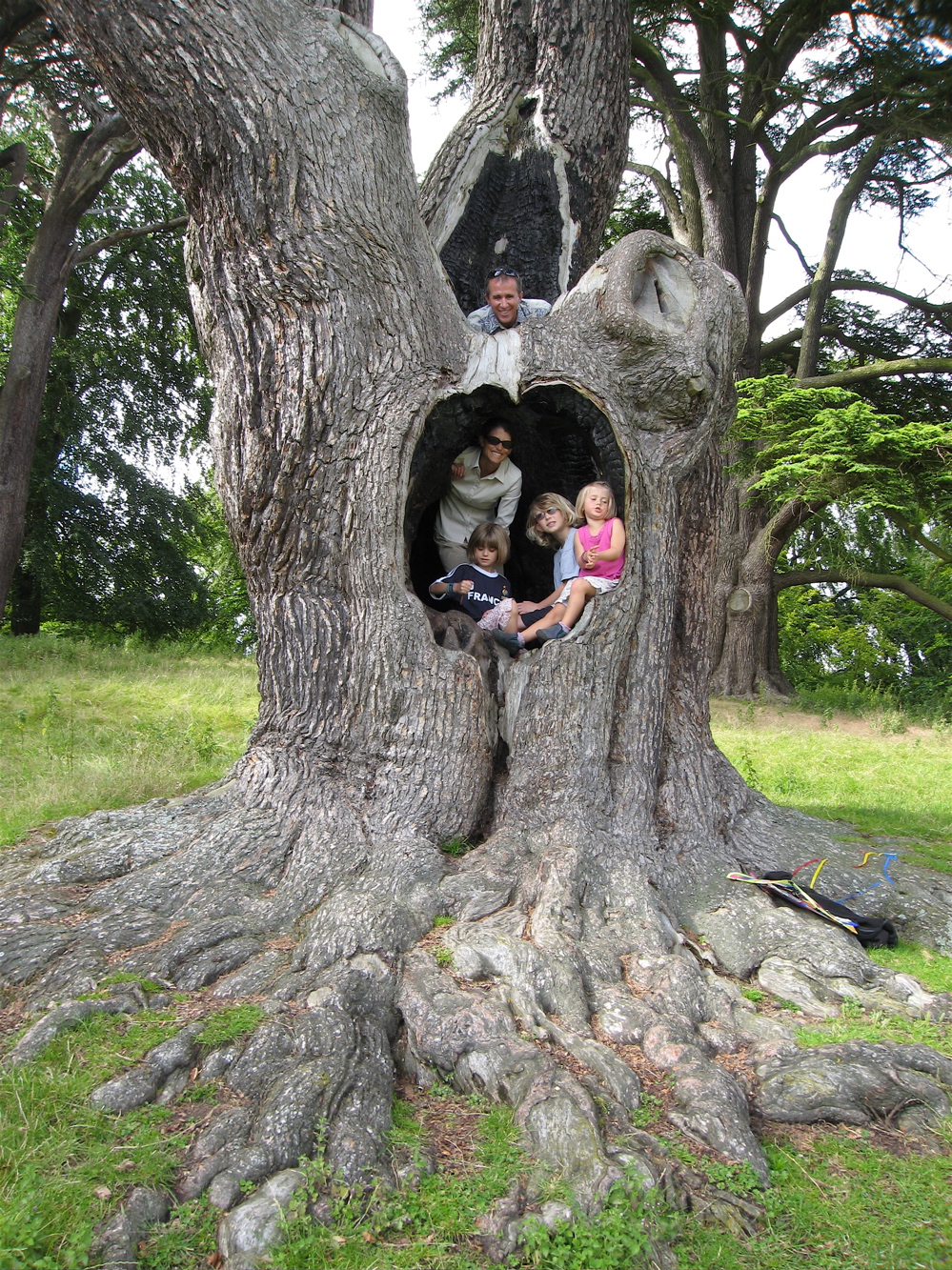 [5bBleheim+Family+Tree.JPG]