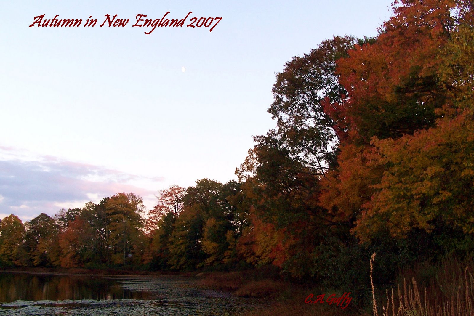 [Autumn+in+New+England+2007.jpg]