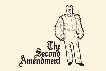 [the-second-amendment.jpg]