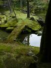 CLICK for more moss tempels !