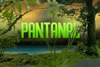 [Logo_Pantanal_oficial.jpg]