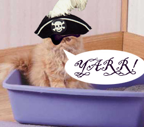 [piratecat3fw.jpg]