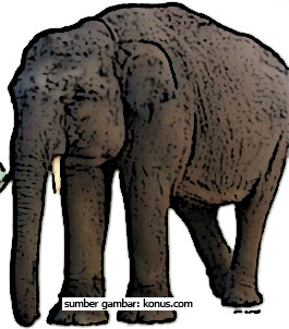 [gajah1.jpg]