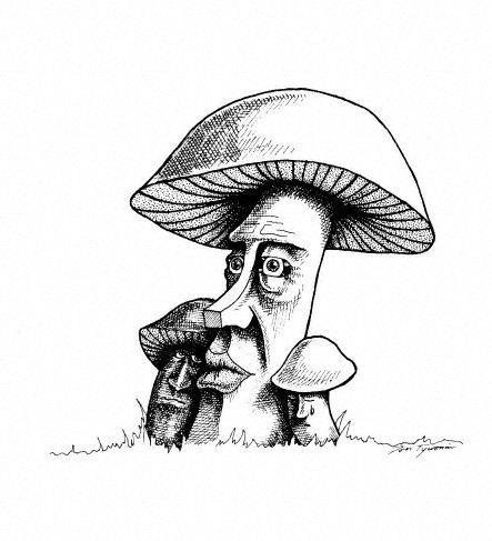 [mushrooms.jpg]