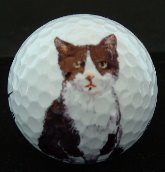 [Golf+Painting+cat.jpg]
