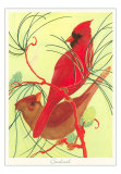 [bd-75-c_b~Cardinals-Illustration-Posters.jpg]