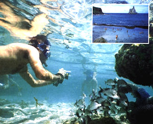 [Barreira-de-coral-snorkeling-e-mergulho.jpg]