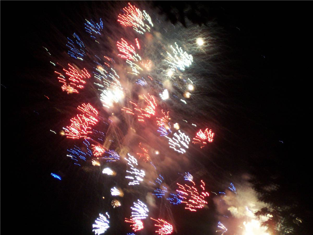 [fireworks2007.jpg]