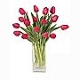 [Birthday+gift+-+tulips.jpg]