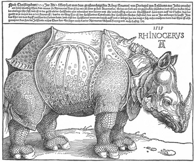 [Rinoceronte-de-Durero.png]