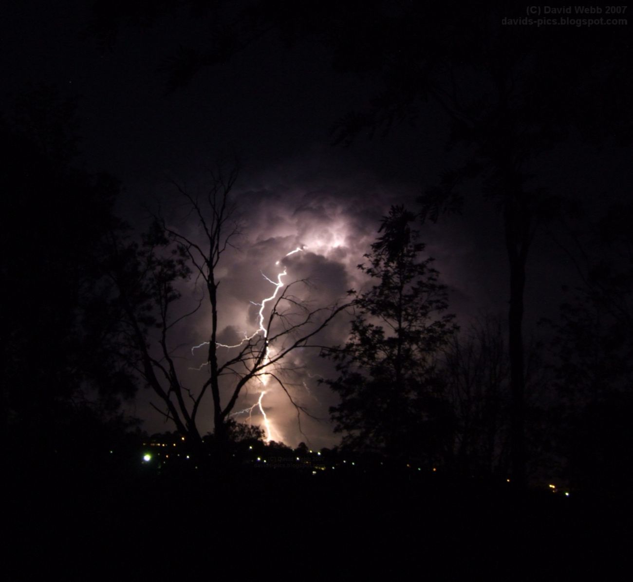 lightning striking dead tree at night