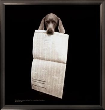 [PF_1182646~Creative-Time-Dog-with-Newspaper-Posters.JPG]