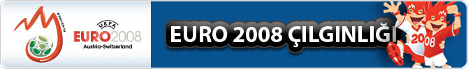 [official+euro2008.jpg]