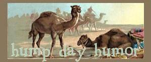 [camels-hdh-by-marsha1.jpg]