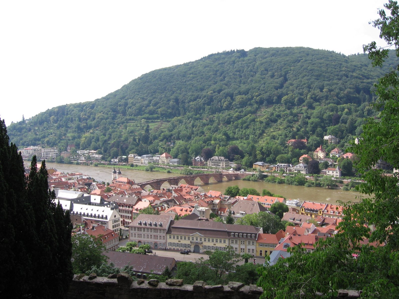 [View+of+Neckar+River+from+castle.JPG]