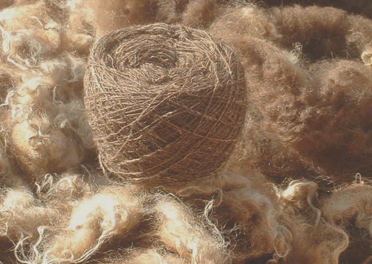 [Ciska+-+fleece&yarn.jpg]