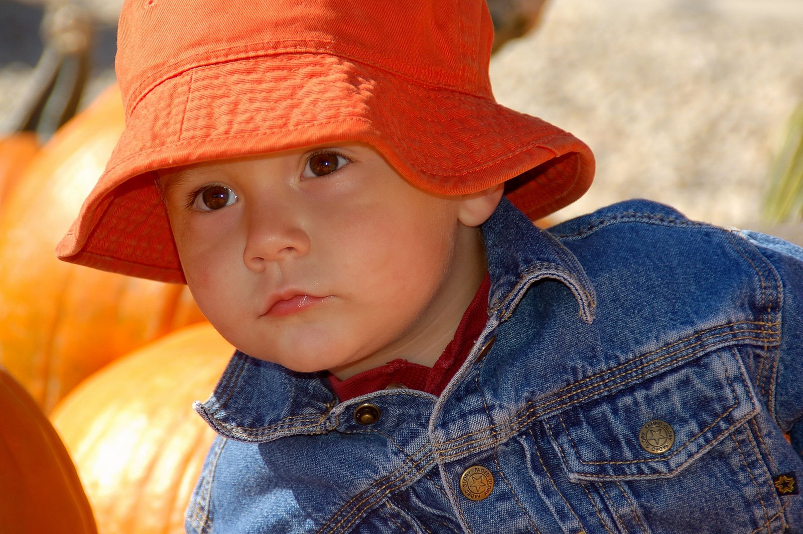 [Owen's+orange+hat2006-10-07.JPG]