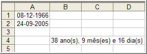 [excel_example.gif]
