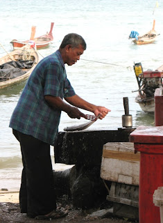 Fisherman scaling fish at Rawai