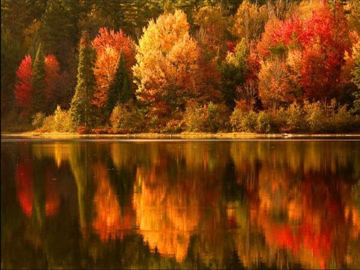[Autumn+Lake.bmp]