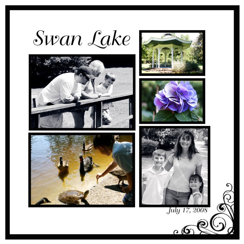 [swan+lake+collage.bmp]