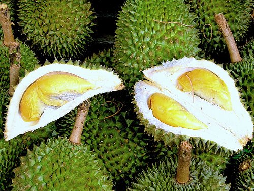 [Durian3.jpg]