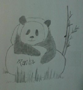 [panda+huiyan.bmp]