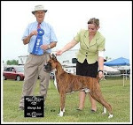 Best in Group, St. Francis Kennel & Obedience Club, Brome, Que., June 08