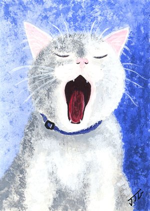 [yawning+cat+copy.jpg]