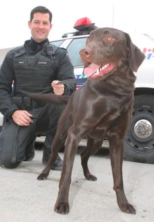 [Newest+police+dog.jpg]