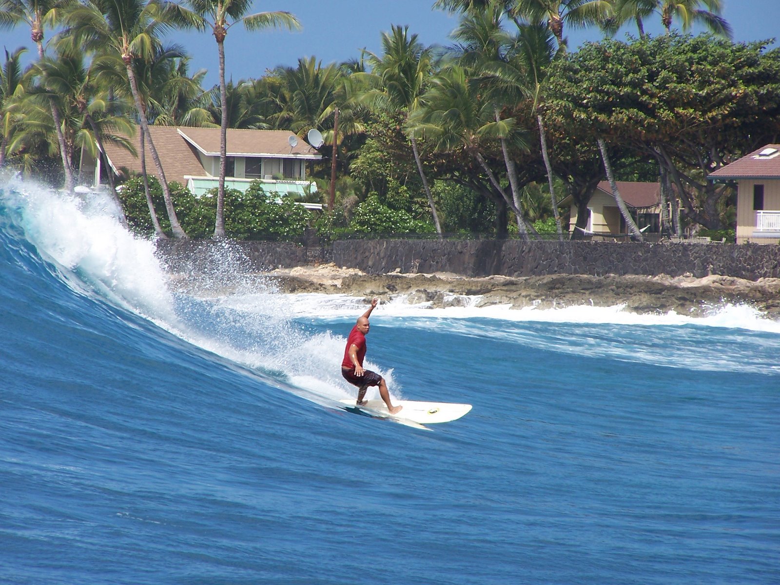 [Surfer.JPG]