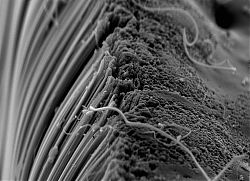 [Carbon_nanotubes.jpg]