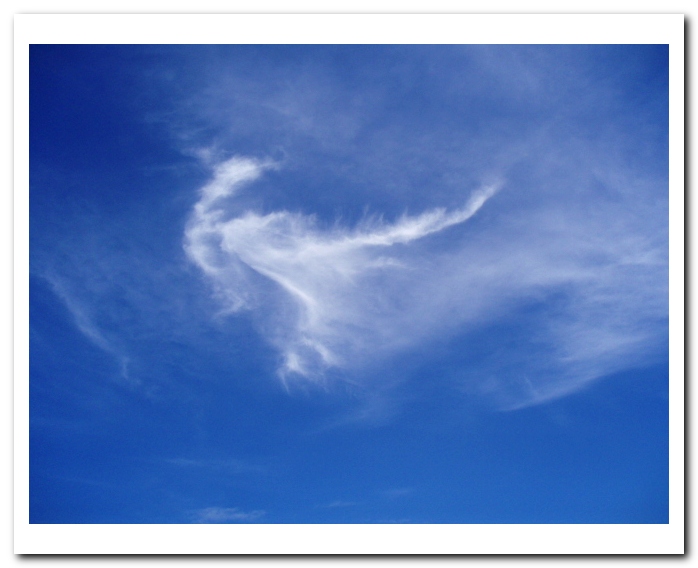 [bird+cloud.jpg]