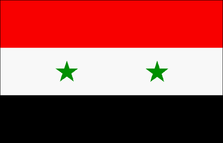 [syria-flag.gif]