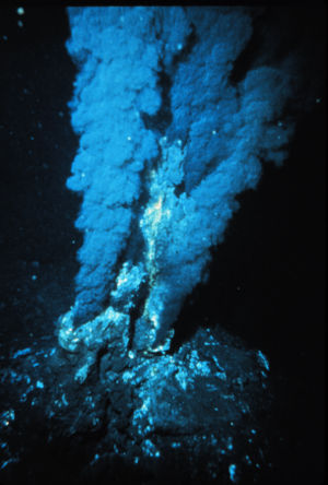 [300px-Hydrothermal_vent.jpg]