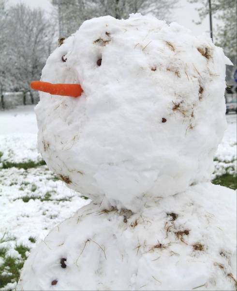 [15+snowman+with+carrot+nose+sm.jpg]
