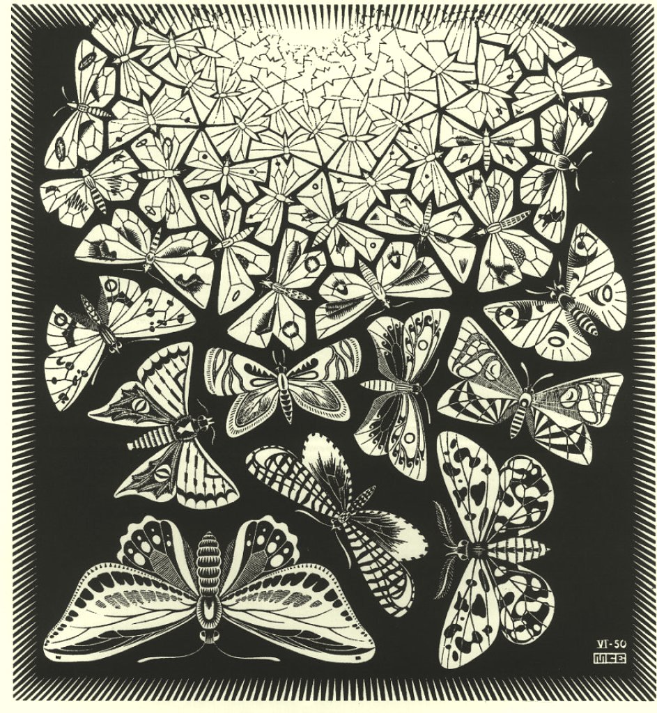 [Escher+Mariposas.jpg]