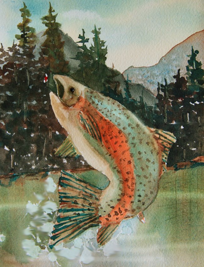 [watercolor+trout.JPG]