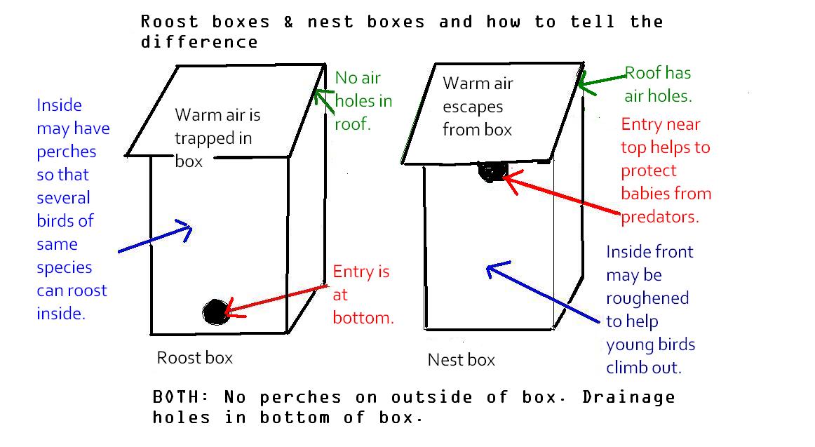 [roost+boxes+and+nest+boxes+bigger+type.JPG]